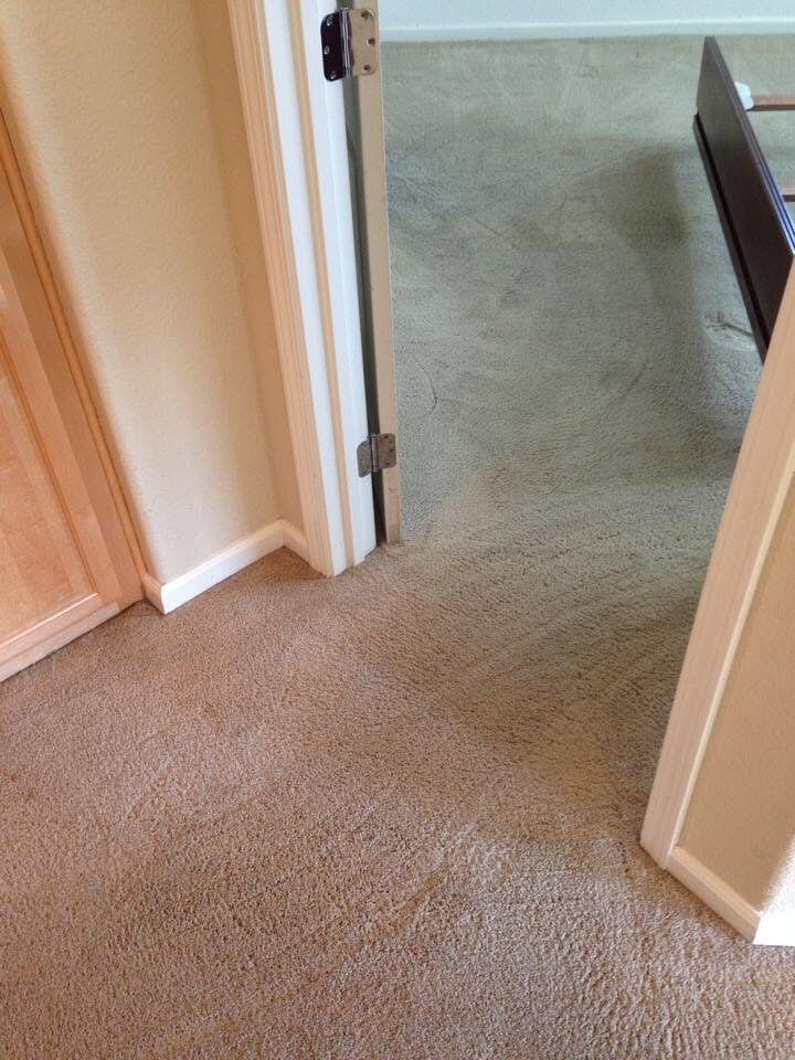 Carpet through the bedroom doorway sitting flat after restretching