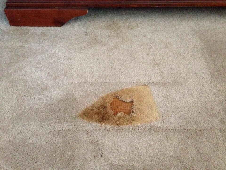 Damaged section of bedroom carpet near furniture before patch repair
