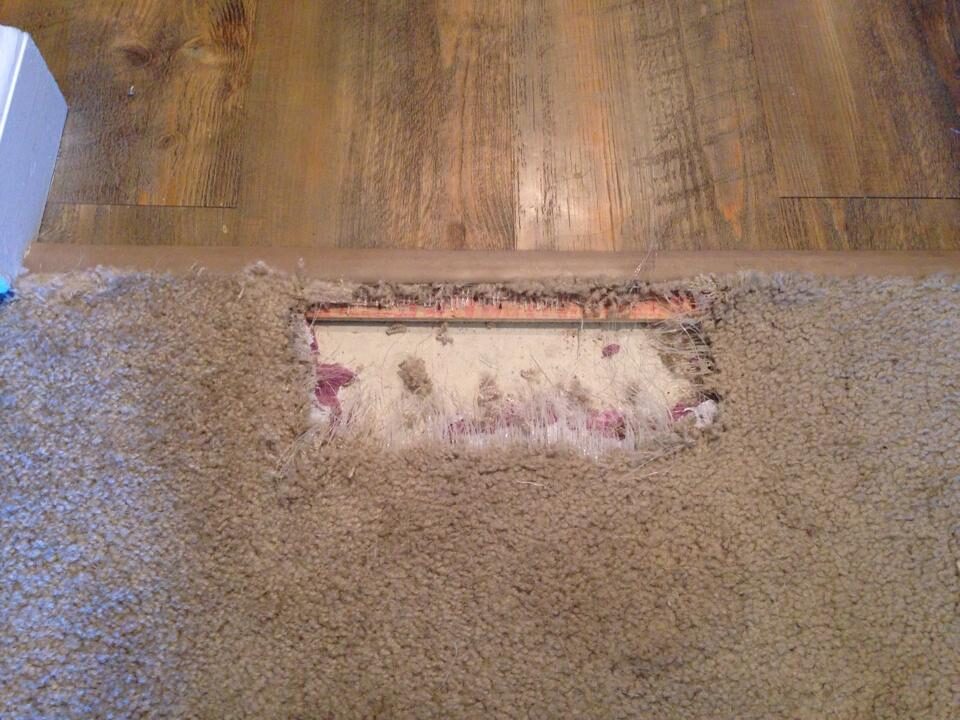 Damaged carpet edge at a floor transition with exposed underlay before patch repair