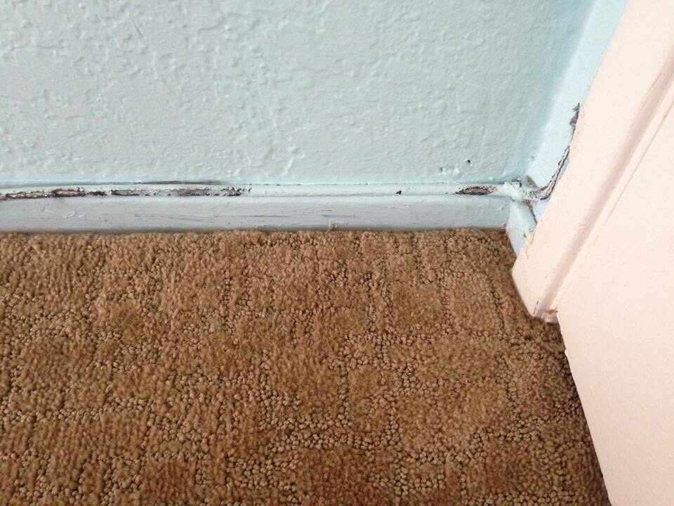Carpet at the door frame edge after patch repair, tucked and secured