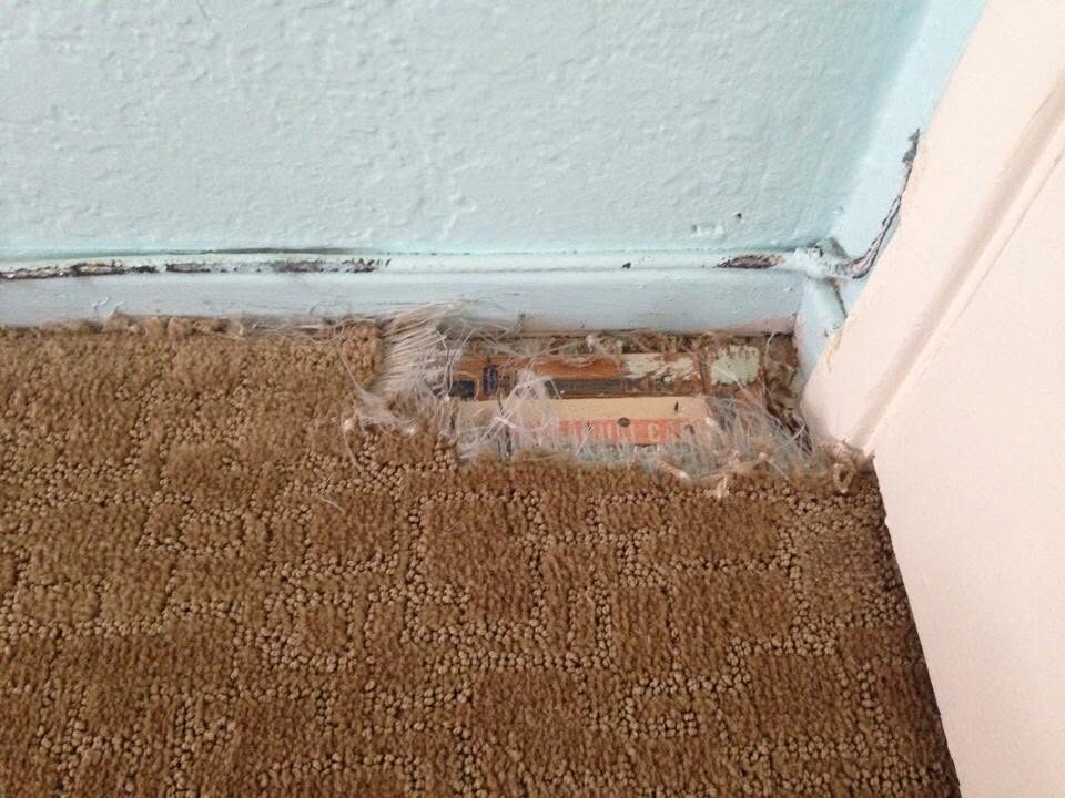 Frayed and torn carpet at a door frame edge with exposed gripper before repair